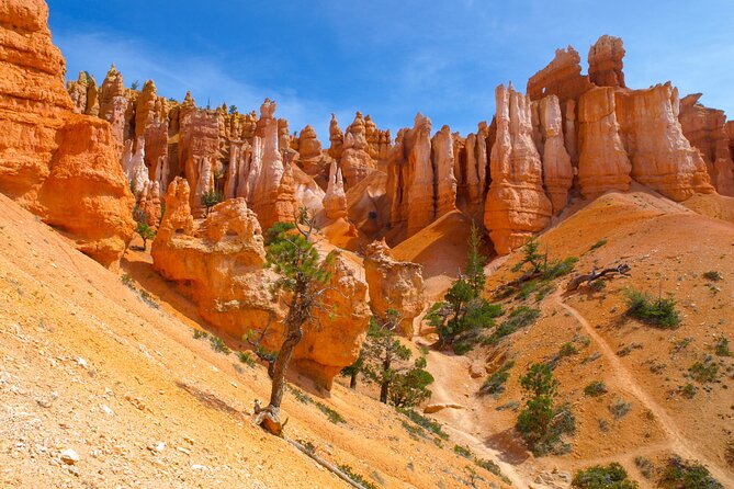Premium Small Group 5-Day National Park Tour from Las Vegas - A Small-Group National Park Escape From Las Vegas