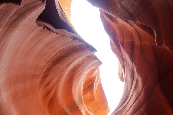 Private Overnight Tour to Antelope Canyon, Horseshoe Bend Zion from Las Vegas - Big Water Dinosaur Center and Grand Staircase Escalante: A Short Stop With Big Perspective