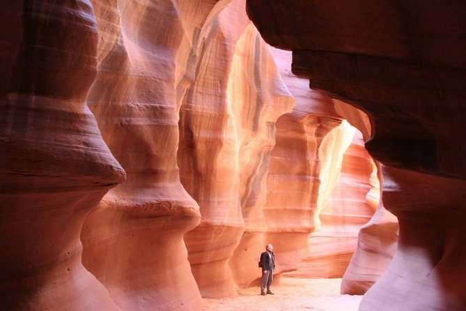 Private Tour: 7-Day Highlight Tour of Southwest Mighty Five - Day 1 in Zion: Angels Landing, The Narrows, and Emerald Pools