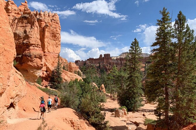 Private Tour: 7-Day Highlight Tour of Southwest Mighty Five - Day 3 in Moab: Delicate Arch and Canyonlands river-carved canyons