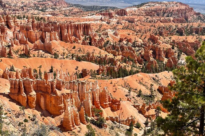 Private Tour to Zion National Park from Las Vegas - The Drive: Glen Canyon Dam to Zion Without the Stress