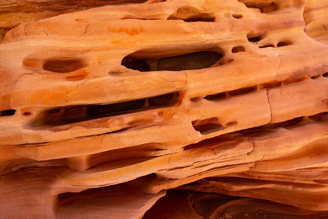 Private Tour: Valley of Fire Day Tour from Las Vegas - Rainbow Vista and Pink Sands: Where the Photos Start Making Sense