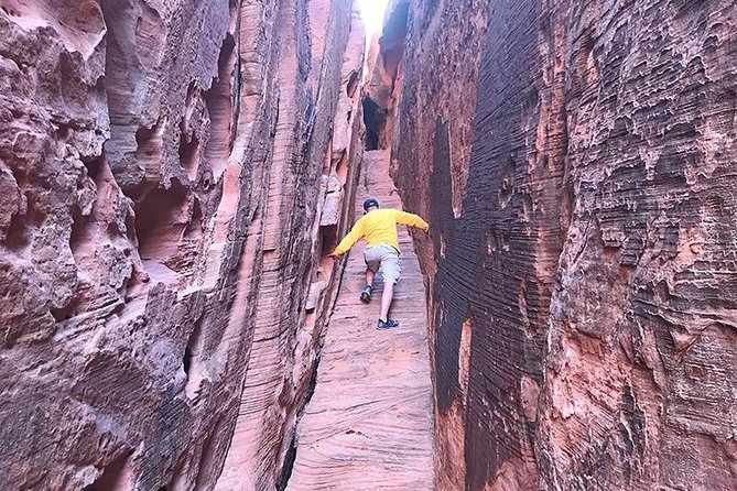 Private Valley of Fire Hiking Tour from Las Vegas - Why this Valley of Fire day feels smoother than DIY