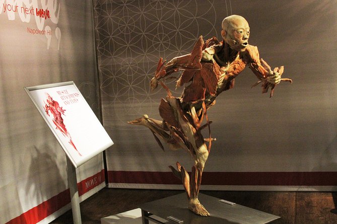 Real Bodies at Horseshoe Las Vegas - Real Bodies at Horseshoe Las Vegas: anatomy you can’t unsee