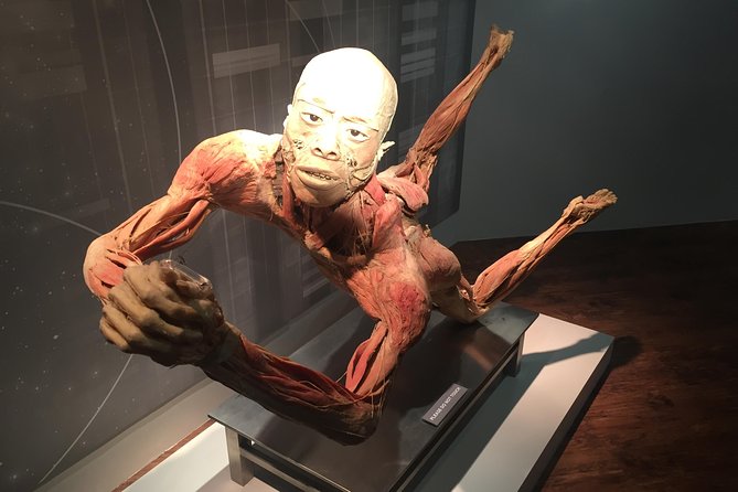 Real Bodies at Horseshoe Las Vegas - How long it takes (and how not to feel rushed)