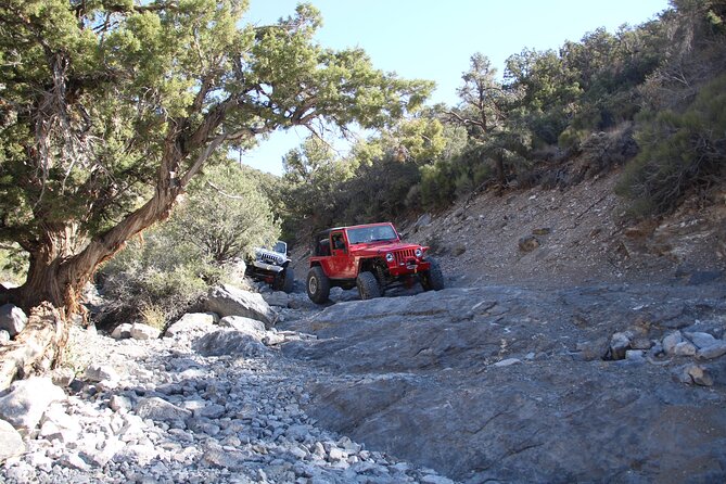 Red Rock Canyon Half Day Jeep Tour Offroad Adventure - Rocky Gap Trail to the Summit: Switchbacks and the 6,500-Foot Reward