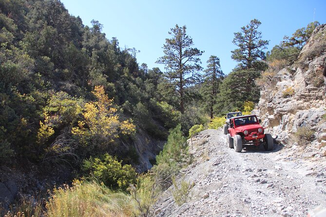 Red Rock Canyon Half Day Jeep Tour Offroad Adventure - Willow Springs: The Tire Air-Down Moment That Changes Everything