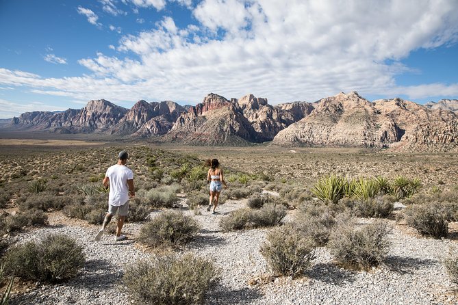 Red Rock Canyon Hike with Transport from Las Vegas - Price, Timing, and What the 4 Hours Really Buy You