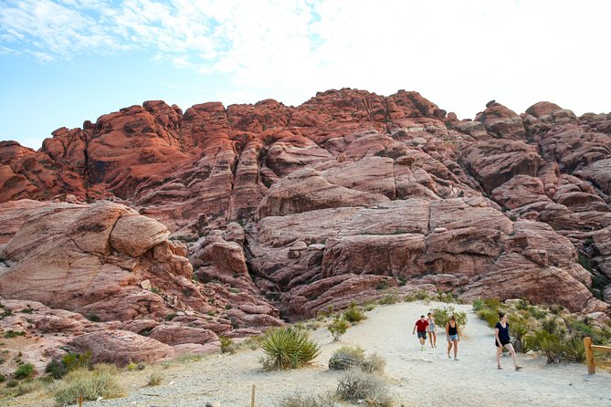 Red Rock Canyon Hike with Transport from Las Vegas - On the Trail in Red Rock: Desert Views, Stories, and Photo-Friendly Stops