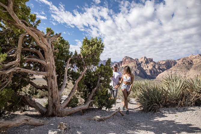 Red Rock Canyon Scooter Tour from Las Vegas - Pickup on the Strip: plan around real timing