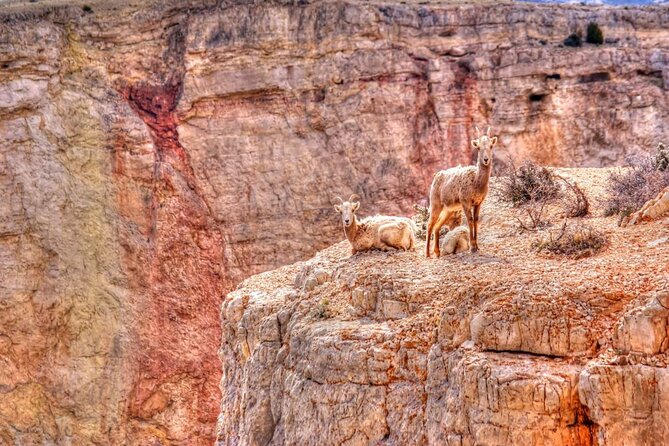 Red Rock Canyon Self-Guided Driving Audio Tour - How long it really takes (and why the timing can feel different)