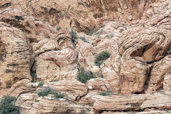 Red Rock Canyon Self-Guided Driving Audio Tour - Who this Red Rock audio driving tour is best for