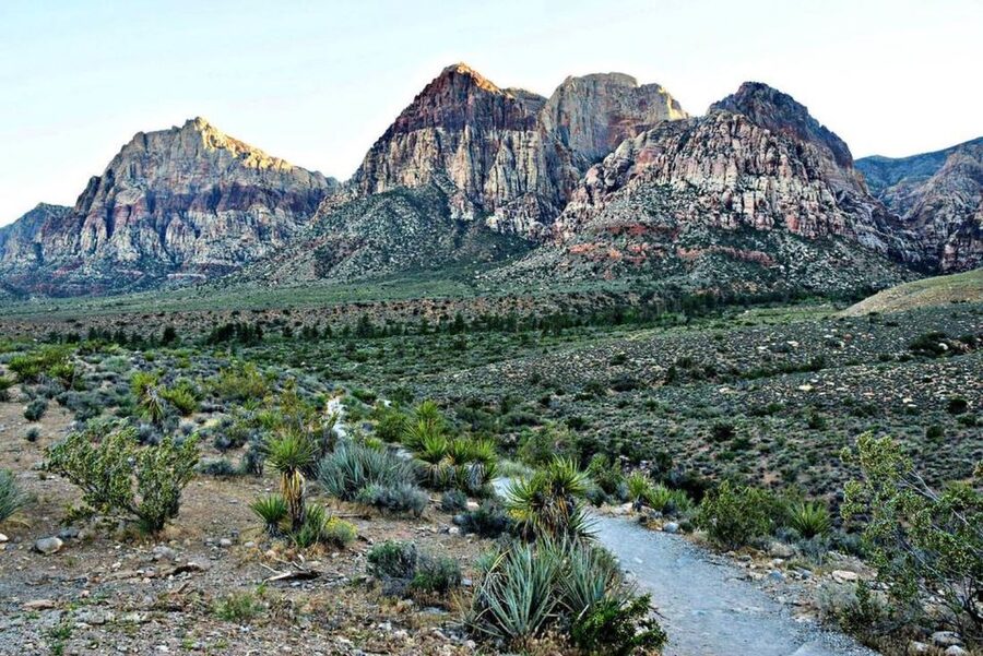 Red Rock Canyon Sign& Seven Magic Mountains Tour - Timing and how the 4 hours usually feel