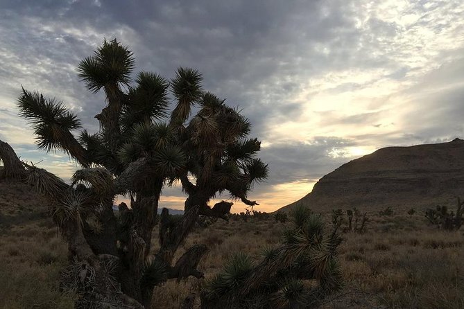Red Rock Canyon Sunset Horseback Ride and Barbeque Dinner - Cowboy Trail Rides: From Ranch Basics to Saddle Time