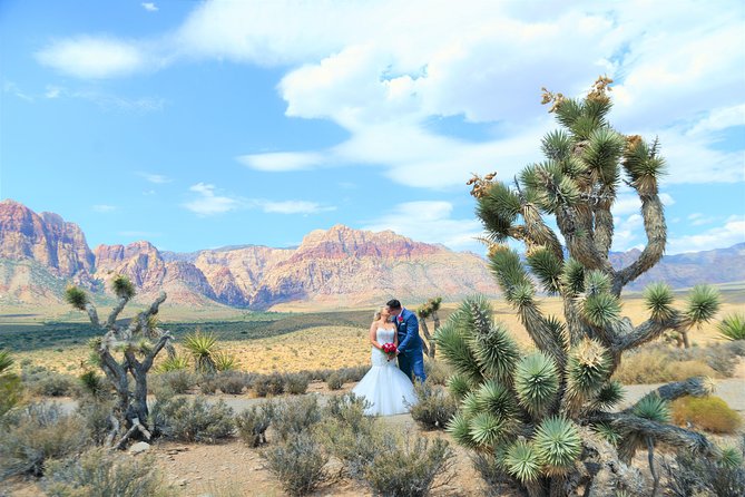 Red Rock Canyon Wedding by Private Limousine - The 3-hour game plan: from marriage bureau to red rock ceremony