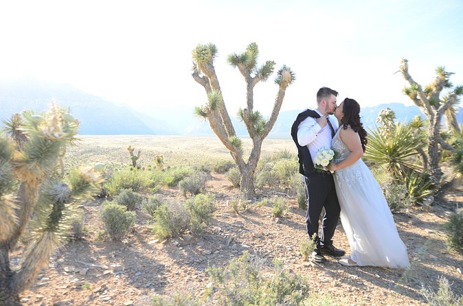 Red Rock Canyon Wedding by Private Limousine - Officiant and ceremony style: religious, civil, and languages