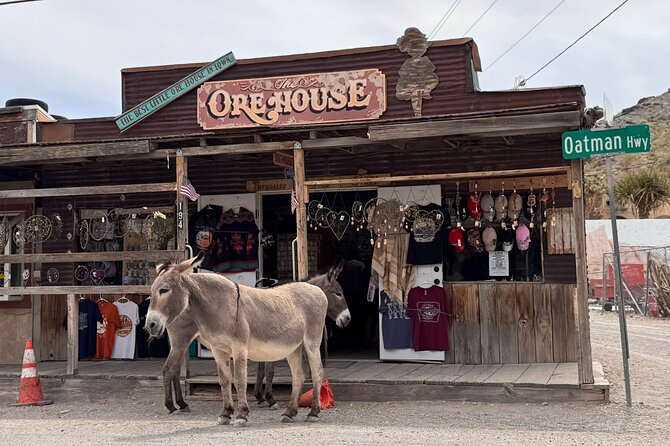 Route 66, Oatman, Nelson Ghost Town SmallGroup Tour from LasVegas - Oatman’s wild burros and the Route 66 road-trip feeling