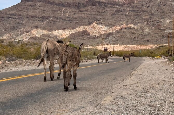 Route 66, Oatman, Nelson Ghost Town SmallGroup Tour from LasVegas - What the guide does for you (and why it matters for value)
