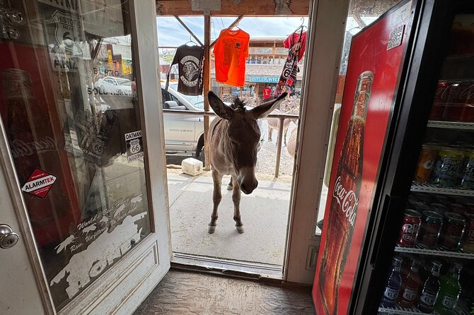 Route 66, Oatman, Nelson Ghost Town SmallGroup Tour from LasVegas - Timing, tickets, and what to do the night before