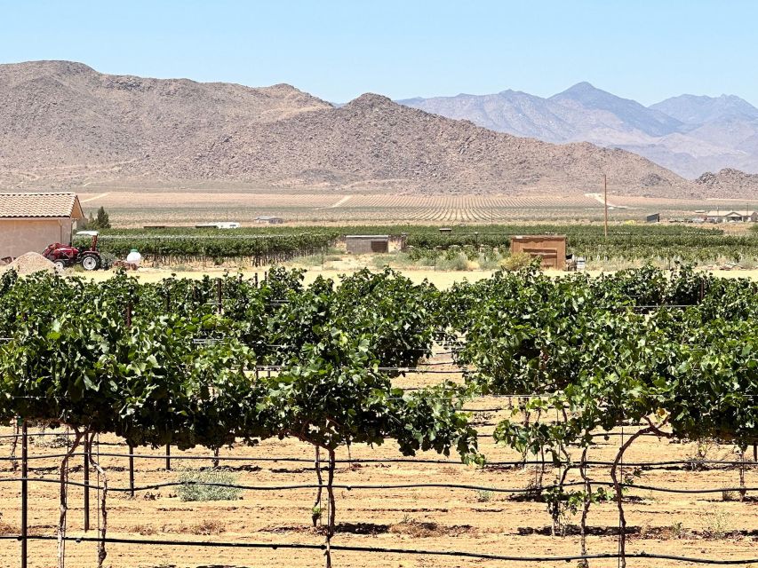 Scenic Desert Wine, Distillery Tastings/Brewery/RT66 & Lunch - Why this Route 66 tasting tour works so well