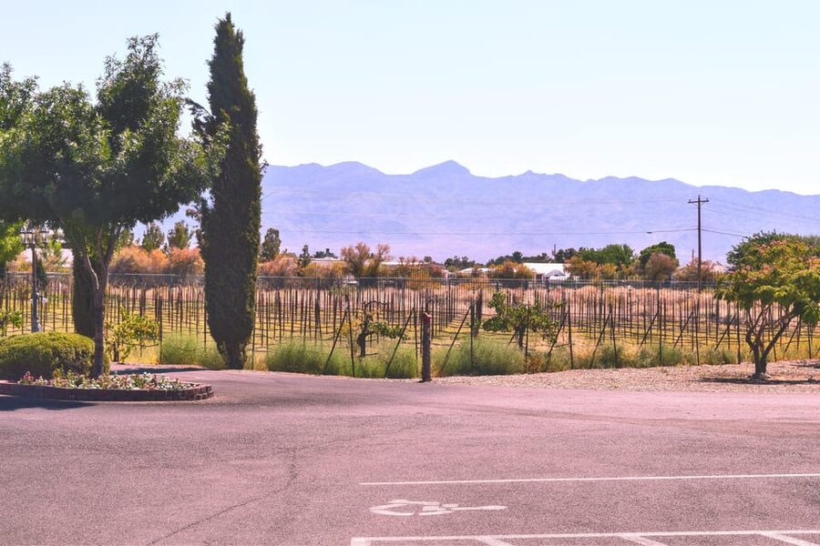Scenic Las Vegas / Pahrump Wine Tasting Tour and Food - Key things to know before you go