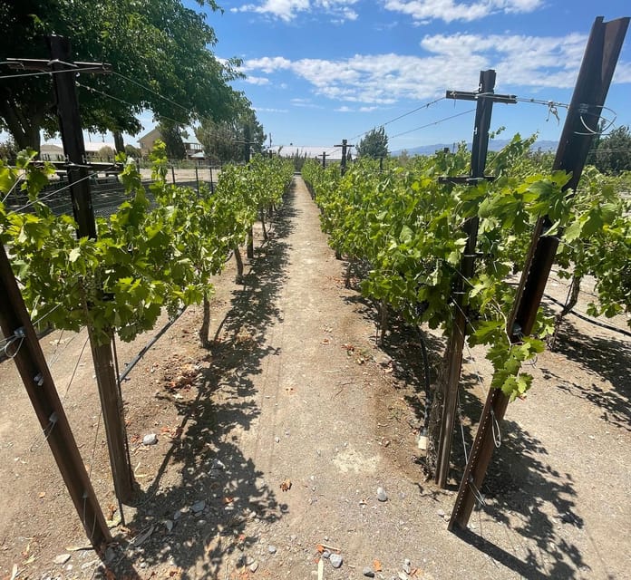 Scenic Las Vegas / Pahrump Wine Tasting Tour and Food - The desert drive timing: how to plan your day in 5 hours