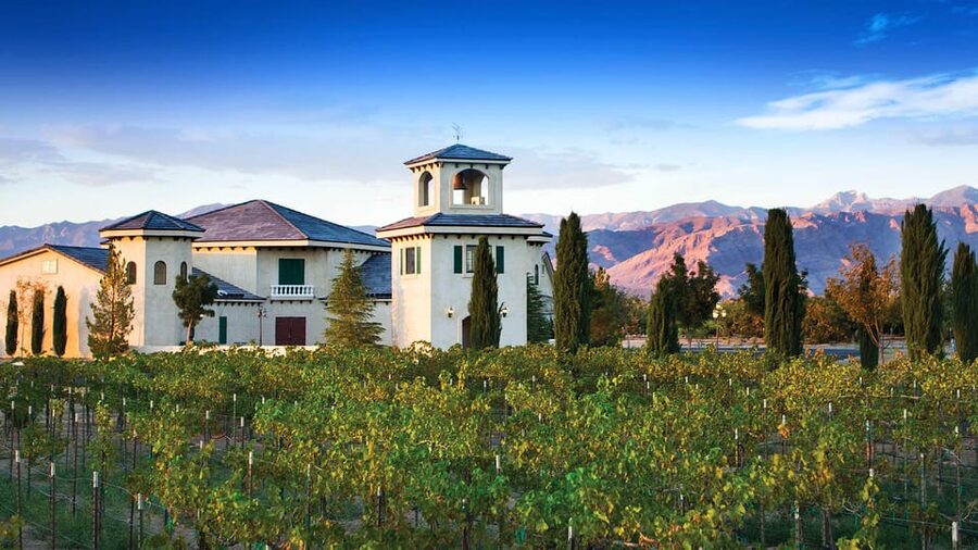 Scenic Las Vegas / Pahrump Wine Tasting Tour and Food - Charleston Peak vs. The Wine Down: what changes on Tuesdays and Wednesdays