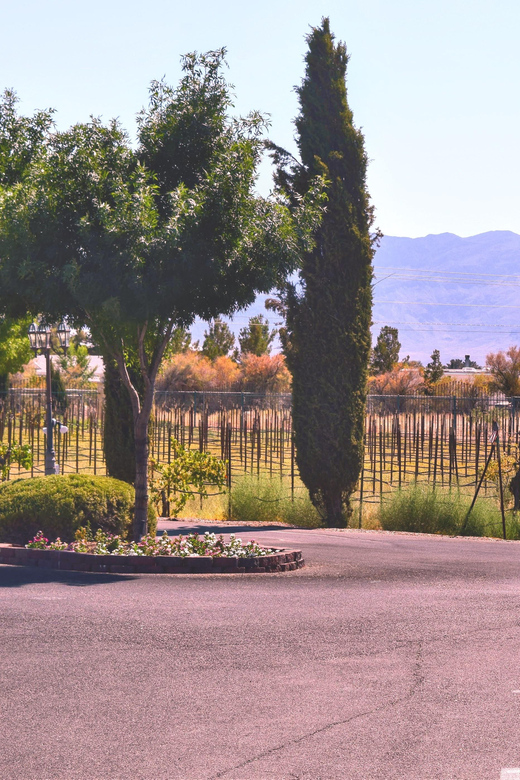 Scenic Las Vegas / Pahrump Wine Tasting Tour and Food - Getting there fast: the Harley Davidson meeting point