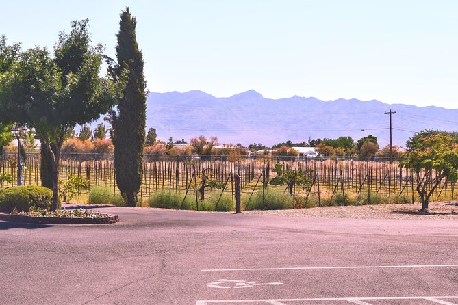 Scenic Wine Tasting Tour from Las Vegas with Food - The Ride to Pahrump: Air-Conditioned, Snack-Ready