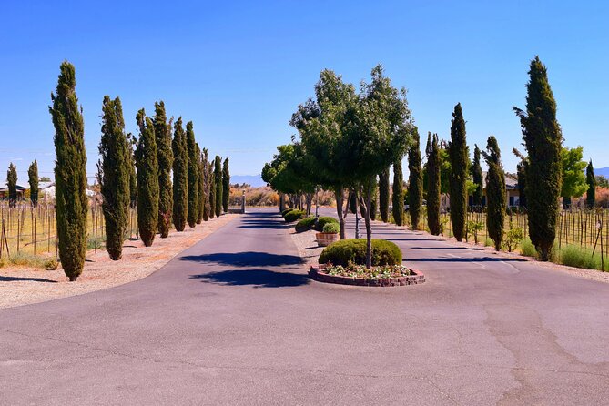 Scenic Wine Tasting Tour from Las Vegas with Food - Practical Tips for Enjoying the Tasting Day