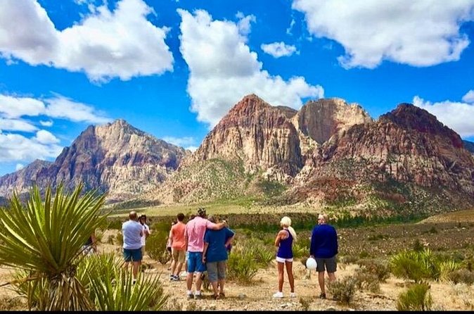 Shared Tour in Red Rock Canyon - The viewpoints, the wildlife, and the photo-game plan