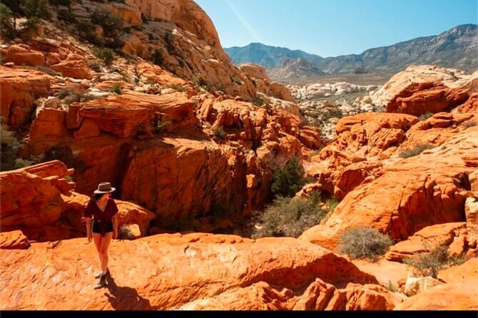 Shared Tour in Red Rock Canyon - Inside the van: small group, calm pace, lots of stops