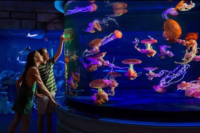 Shark Reef at Mandalay Bay Hotel and Casino - Entering Shark Reef at Mandalay Bay: Why the location makes sense