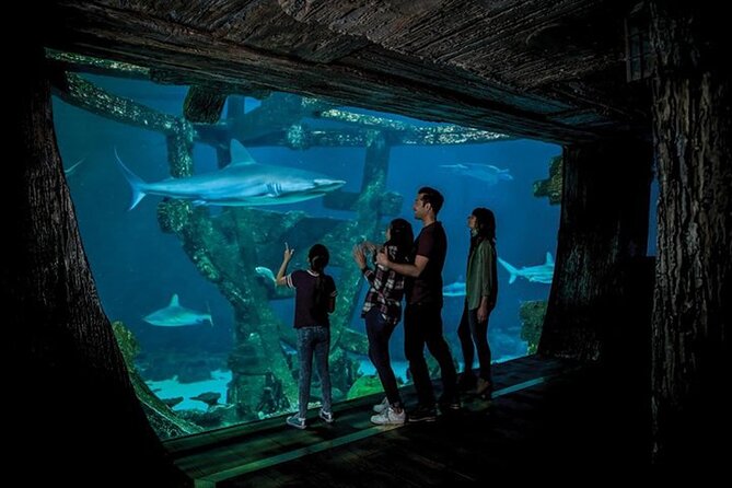Shark Reef at Mandalay Bay Hotel and Casino - More than sharks: the rare and surprising creatures you’ll see