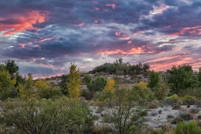 Skip the Line: Springs Preserve in Las Vegas Admission Ticket - Nature walk time: chicken coop, archaeology dig, and rare plants