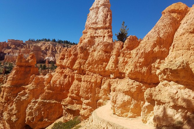 Small Group Bryce Canyon & Zion National Park Tour from Las Vegas - The included food plan: lunch, snacks, water, and soda