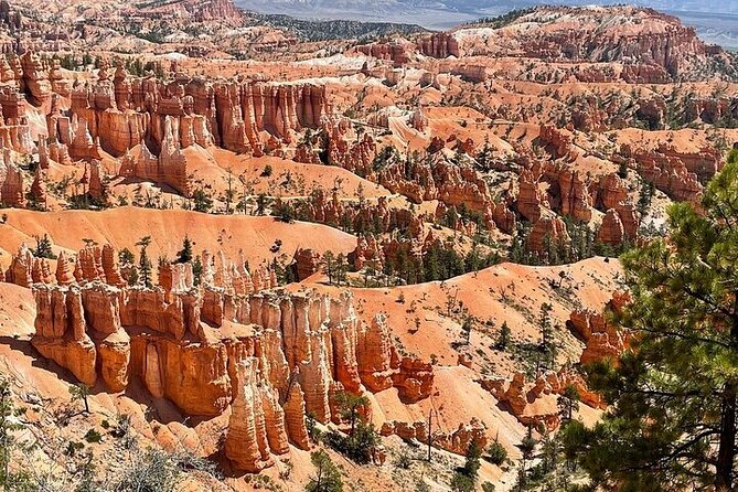 Small Group Day Tour To Explore Bryce Canyon & Zion National Park - What to Pack for Zion and Bryce in One Day