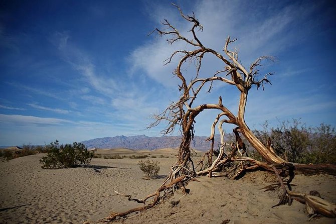 Small-Group Death Valley National Park Day Tour from Las Vegas - Badwater Basin: Lowest Point, Biggest “How Is This Real?” Moment