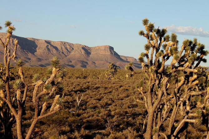 Small Group Grand Canyon, Hoover Dam and 7 Magic Mountains Tour - Lunch Option: The Upgrade That Buys Convenience