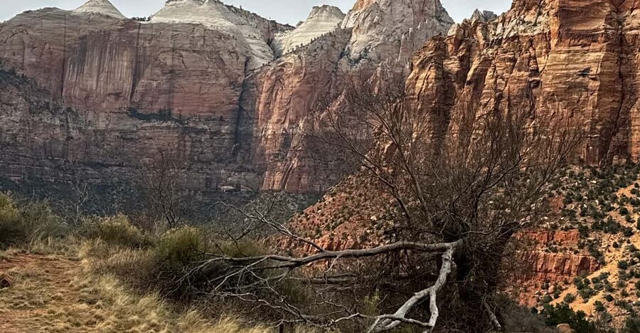 Small Group Tour Zion Bryce Canyon National from Las Vegas - Key things that make this day tour work