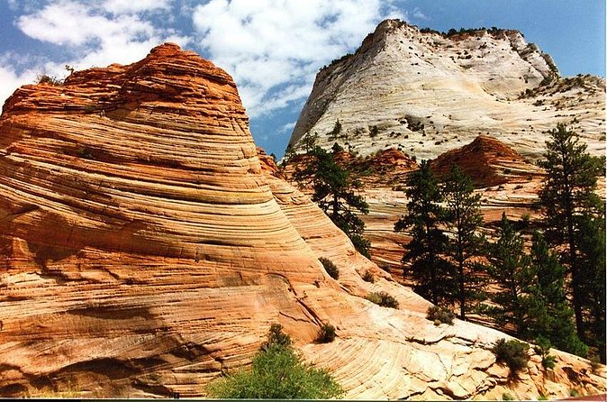 Small-Group Zion National Park Day Tour from Las Vegas - Scenic Drive and winter flexibility: what happens when conditions change