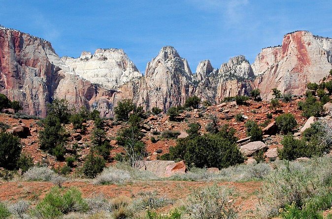Small-Group Zion National Park Day Tour from Las Vegas - The Floor of the Valley Road: wildlife spotting and big views