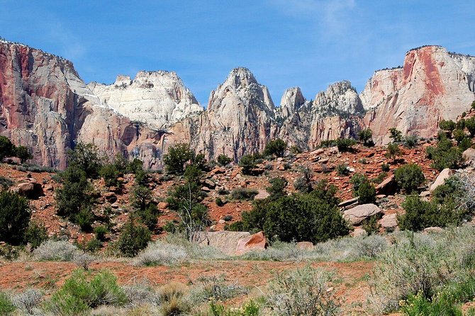 Small-Group Zion National Park Day Tour from Las Vegas - Group size, vehicles, and who this tour fits best
