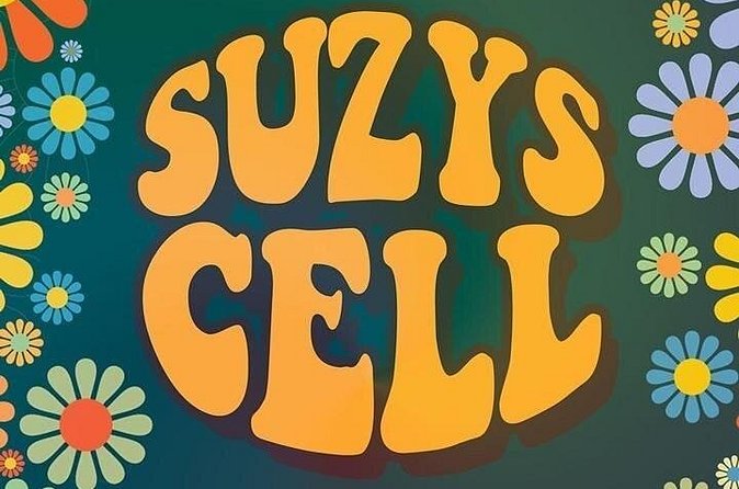 Suzys Cell Escape Game - Where You Meet On Tropicana Ave (And How It Affects Your Day)