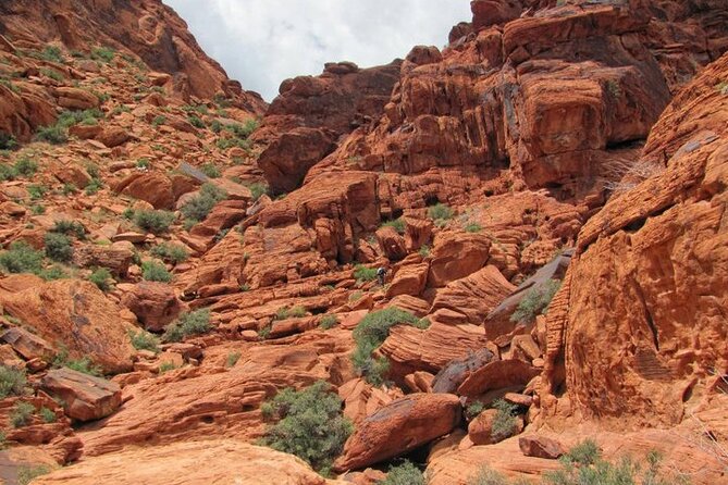 The Ultimate Red Rock Canyon Scenic Experience - Stop 1: Red Rock Canyon National Conservation Area (3 Hours) for Views + Stories