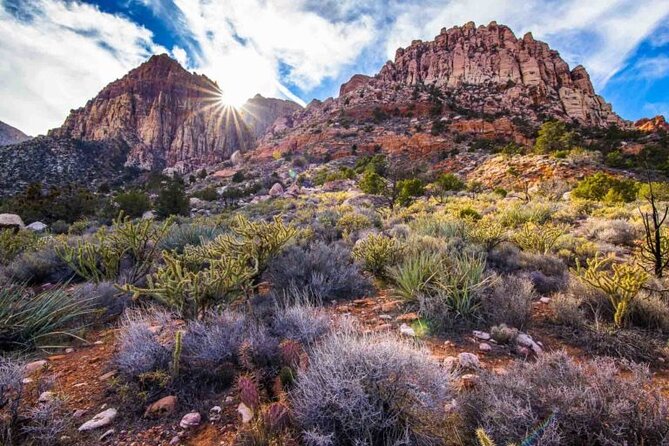 The Ultimate Red Rock Canyon Scenic Experience - Guides and Small Groups: Why JT’s Style Seems to Matter