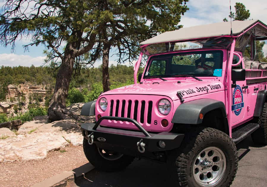 Tusayan: Grand Canyon Desert View & South Rim Pink Jeep Tour - Desert View Drive: why this South Rim route feels different
