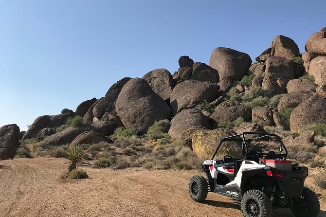 Ultimate Hidden Valley and Primm RZR Adventure from Las Vegas - Primm Valley runs: desert trails with valley views