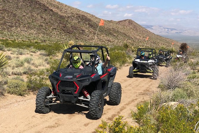Ultimate Hidden Valley and Primm RZR Adventure from Las Vegas - Ivanpah Valley and Roach dry lake bed: where speed feels real