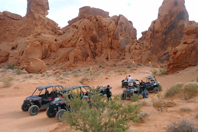 Valley of Fire 3-Hour ATV Tour from Las Vegas - Reality Check: What to Expect, What Might Go Wrong